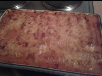 Mit Hackfleisch gefüllte Cannelloni auf Alle-Rezepte.com