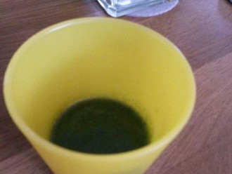 Grüner Smoothie auf Alle-Rezepte.com