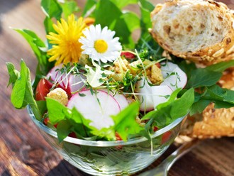 Frühlingssalat mit Gänseblümchen auf Alle-Rezepte.com