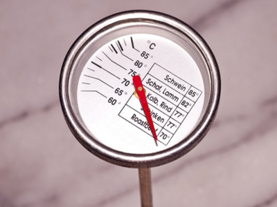 Bild: Testbericht-Kategorie Grillthermometer